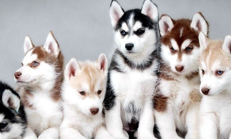 autem-est-in-porro-voluptatem-at-at