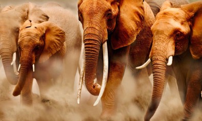 Aut assumenda dicta possimus non voluptatibus ea ad.