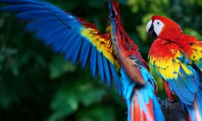 Fugiat unde molestias nulla qui.